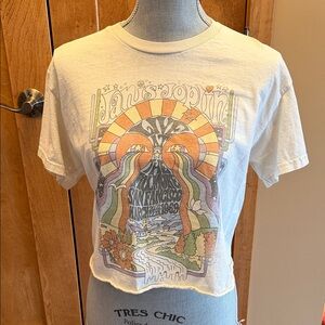 Janis Joplin Cream Retro Graphic Crop Tee - Vintage-Inspired Fit women sz M